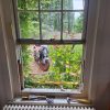 Sash Window Repair