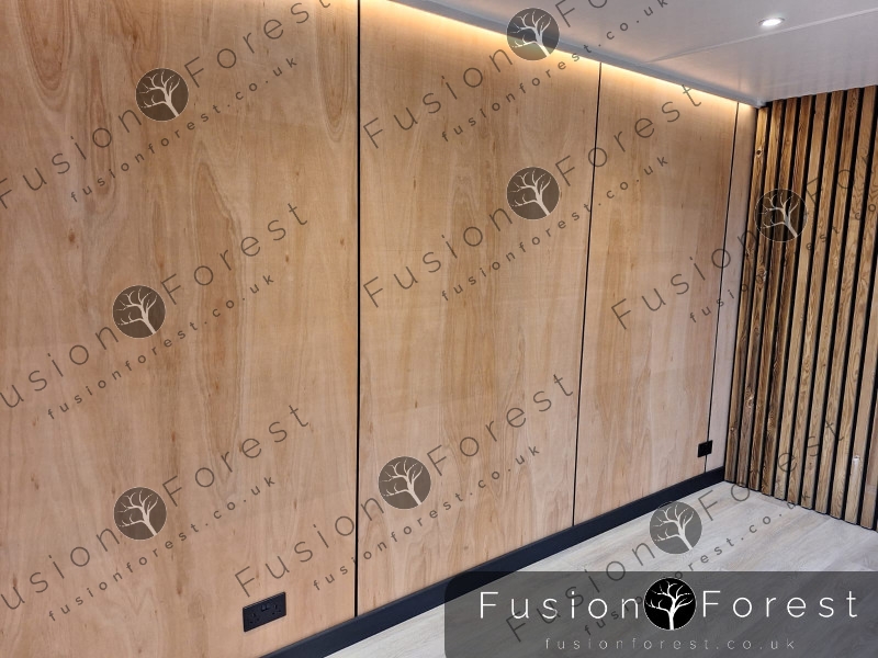 Shipping Container Conversion - Inside LED'S